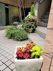 20200604_104449.jpg