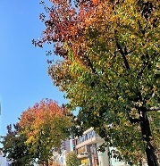 20201113_110111.jpg