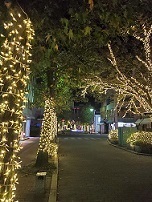 20201202_181509.jpg