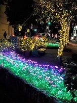 20201202_181554.jpg