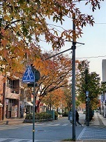 20201212_100124.jpg