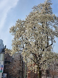20210315_151610.jpg