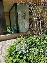 20210324_112749.jpg