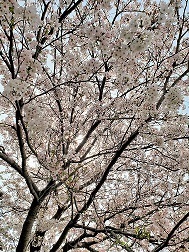 20210330_115644.jpg