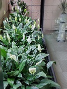 20210703_132111.jpg